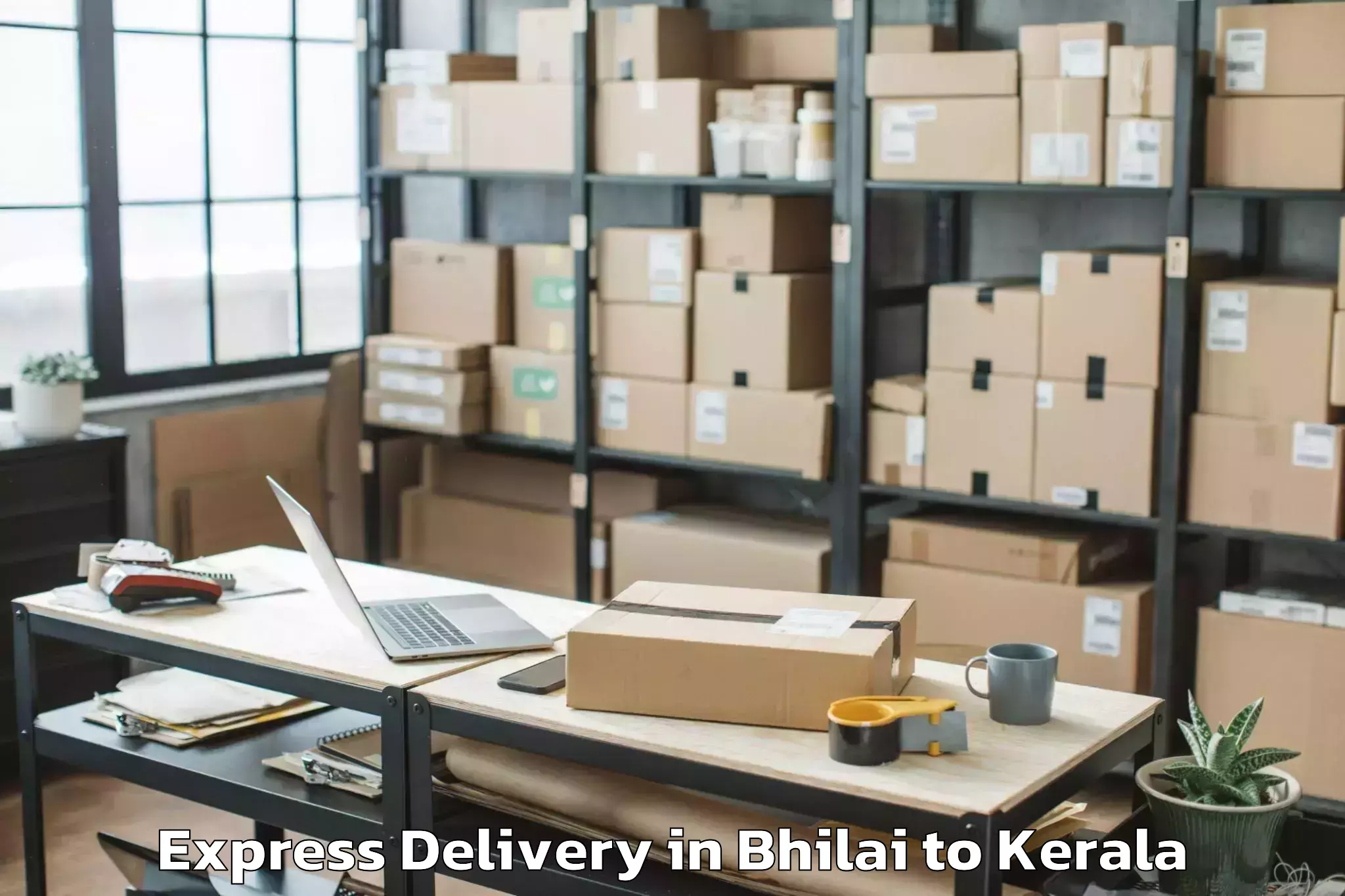 Quality Bhilai to Thenhipalam Express Delivery